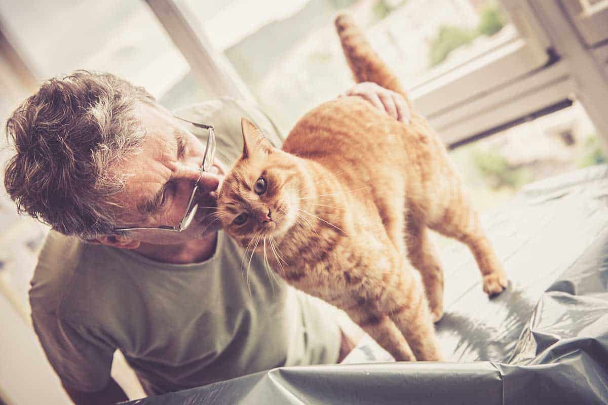 A cat with their human