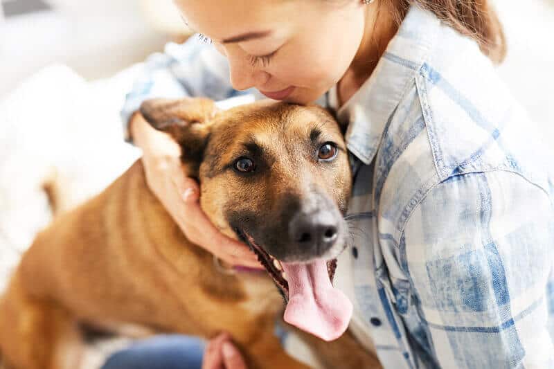 Close up portrait of smiling Asian woman hugging dog sitting on bed in warm sunlight